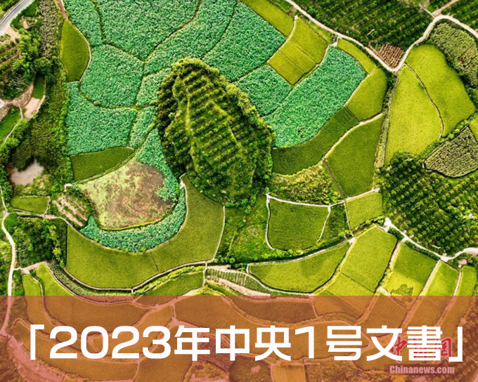 「2023年中央1号文書」が「農業強国」を初提起 発せられたシグナルは何か?.jpg